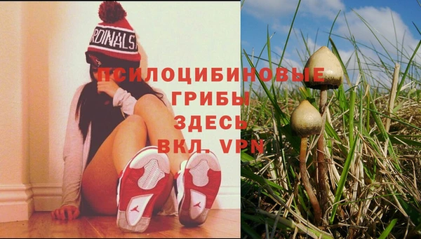 а пвп мука Алексин