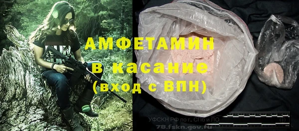 соль ск Алзамай